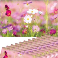 Tischsets Platzsets MOTIV abwaschbar Frühling Blumen pink weiß Blumenwiese 12er