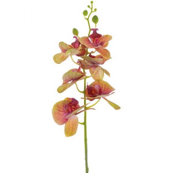 Deko Orchidee mit Blüte, Knospe und Real Touch Gefühl 80 cm 1 Stk apricot