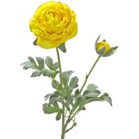 Ranunkeln Kunstblume Blüte & Knospe Kunstblume 1 Stk - ca 40 cm - gelb