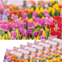 Tischsets Platzsets MOTIV abwaschbar pinke Tulpen Blumenwiese bunt 8er