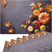 Tischset Platzsets MOTIV abwaschbar Kürbisse Herbstlaub Herbst Beton bunt 8er