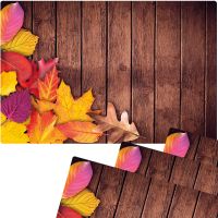 Tischsets Platzsets MOTIV abwaschbar buntes Herbstlaub Blätter Holz bunt 4er