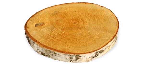 Baumscheibe Holzscheibe zum Basteln Dekorieren 10 - 15 cm