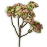 Fetthenne Kunstblume Zweig Kunstpflanze Dekopflanze 1 Stk - 30 cm - hellgrün