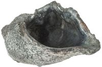 Geöffnete Muschel Dekomuschel Gartendeko antiksilber Zement 1 Stk 23x15x12,5 cm