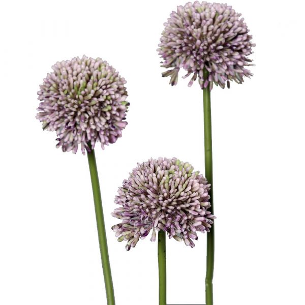 Lauch Blüten Allium Kunstblumen Kunstpflanzen 3er Bund - 46 cm - lila