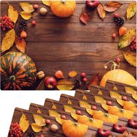 Tischset Platzsets MOTIV abwaschbar Herbstfrüchte Kürbisse Holz braun orange 8er