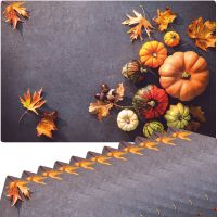 Tischset Platzsets MOTIV abwaschbar Kürbisse Herbstlaub Herbst Beton bunt 12er