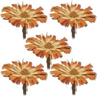 Zuckerbüsche Protea Compacta Rosette Trockenblumen natur hell 5er Set 8-9 cm