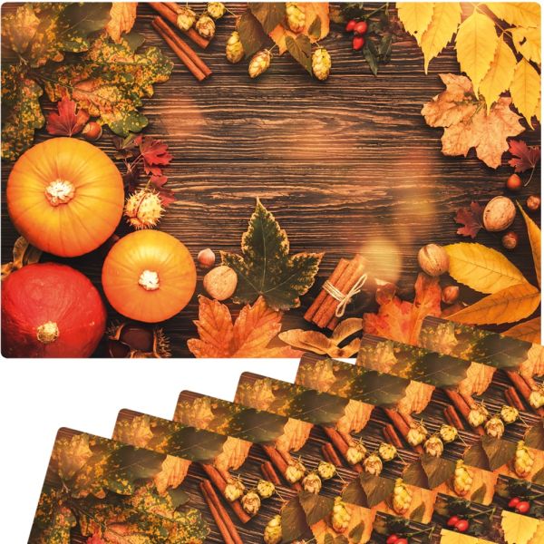 Tischset Platzsets MOTIV abwaschbar Kürbisse Herbstlaub Zimtstangen Holz bunt 8er
