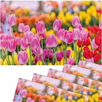 Tischsets Platzsets MOTIV abwaschbar pinke Tulpen Blumenwiese bunt 6er