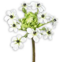 Milchstern Kunstblume Kunstpflanze Ornithogalum Arabicum 1 Stk 64 cm creme weiß